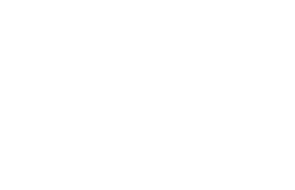 HelpdeskMD logo white